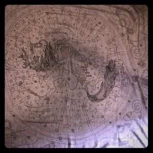 Hermes  "C'est La Fete" Scarf